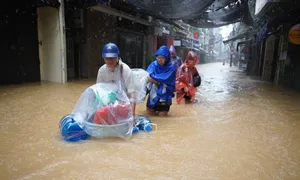 Đại học lên phương án hỗ trợ sinh viên khó khăn vì bão lũ