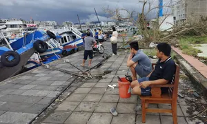 Tàu Hạ Long chật vật ngày đón khách trở lại