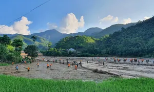 Dự kiến xây khu tái định cư Làng Nủ cách nơi cũ 3 km